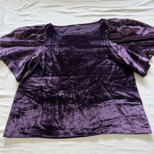 Ann Taylor Rich Purple Velvet Blouse